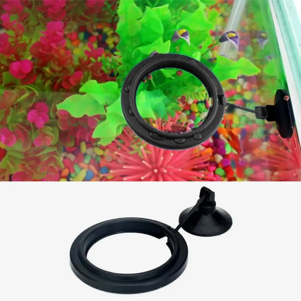 Aquarium Feeding Ring