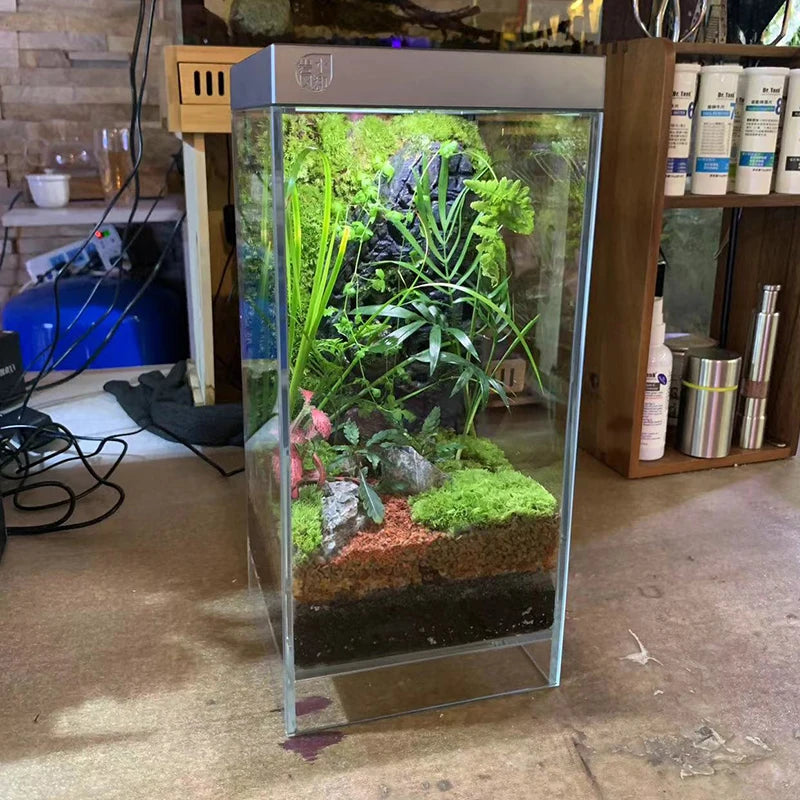 Rainforest Terrarium