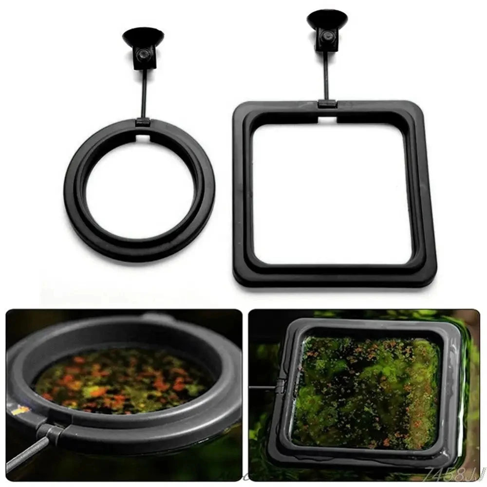 Aquarium Feeding Ring