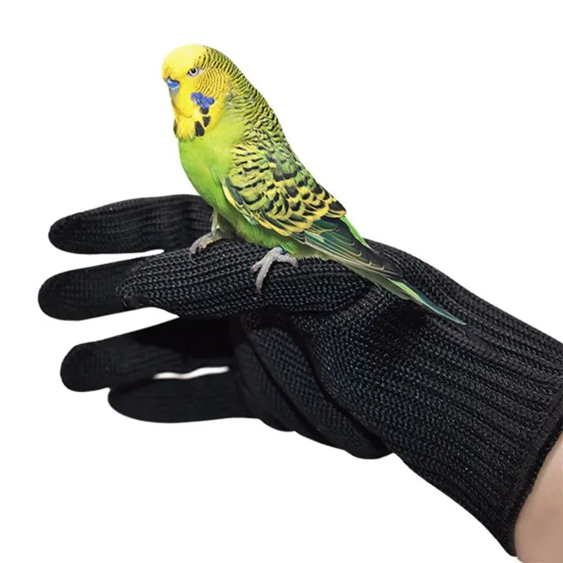 Anti-Bite Parrot Training Gloves