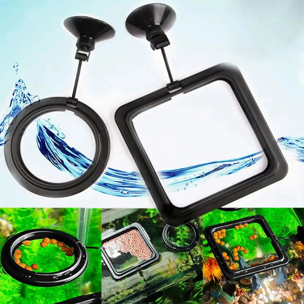 Aquarium Feeding Ring