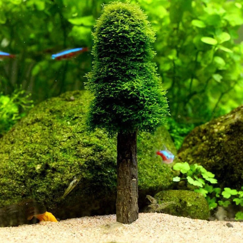 Aquarium Moss Plants Holder