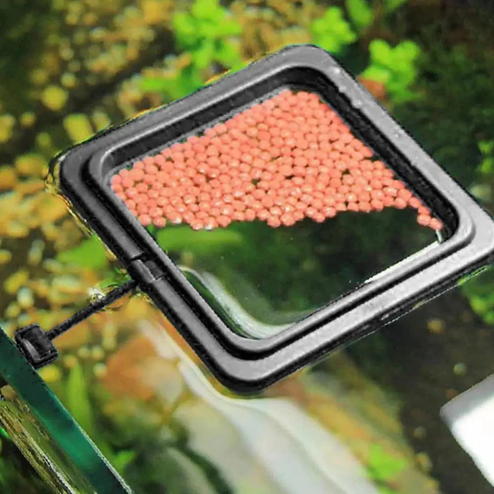 Aquarium Feeding Ring