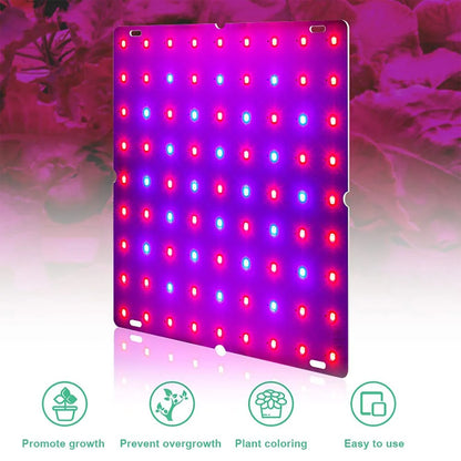 LED 1000W/2000W Full Spectrum Hydroponic Growing Lamp