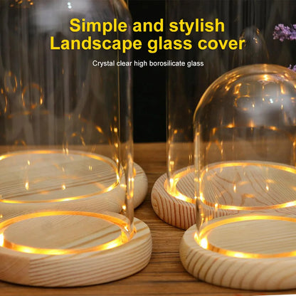 Terrarium Container With LED Light