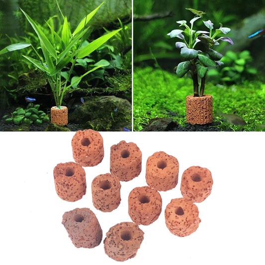 Aquarium Plants Fixing Rings