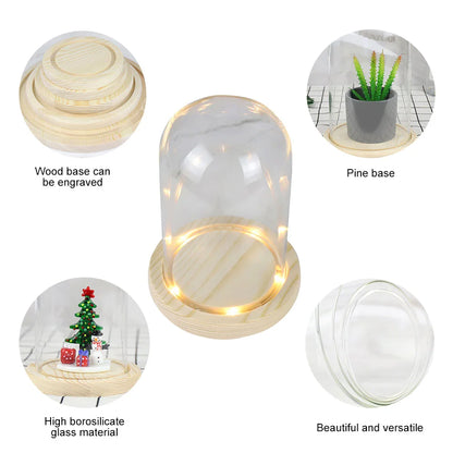 Terrarium Container With LED Light