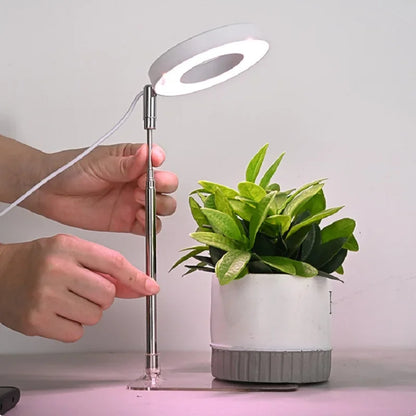 LED Indoor Angel Ring Plant Growing Light