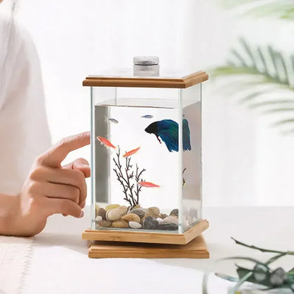 Mini Rotating Aquarium / Terrarium