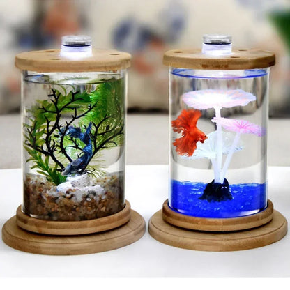 Mini Rotating Aquarium / Terrarium