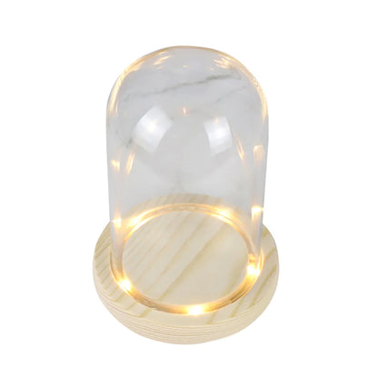 Terrarium Container With LED Light