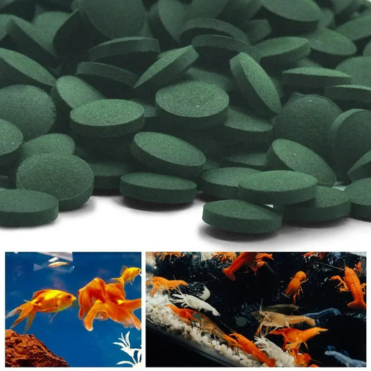 Enrichment Favorite Pets Fish Shrimp Fish Food