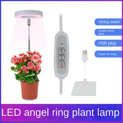 LED Indoor Angel Ring Plant Growing Light