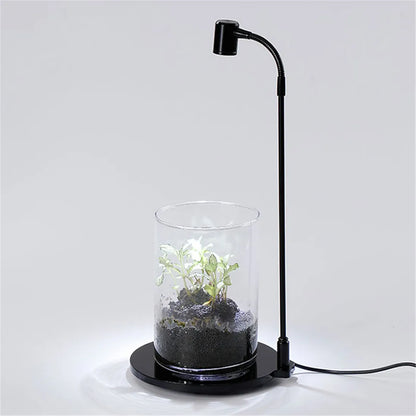 USB Grow Light for Indoor Plants