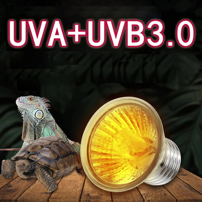 UV Light Bulbs