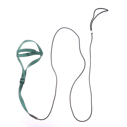 Parrot Harness Leash