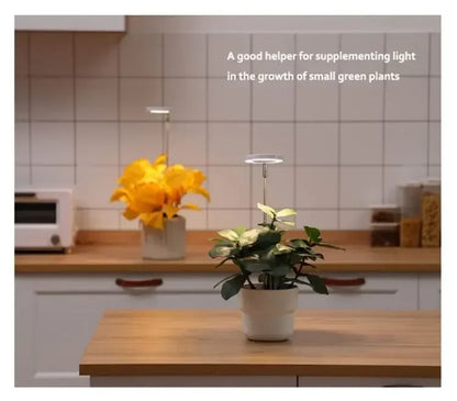 LED Indoor Angel Ring Plant Growing Light