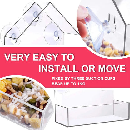 Outside Clear Hanging Bird Feeder