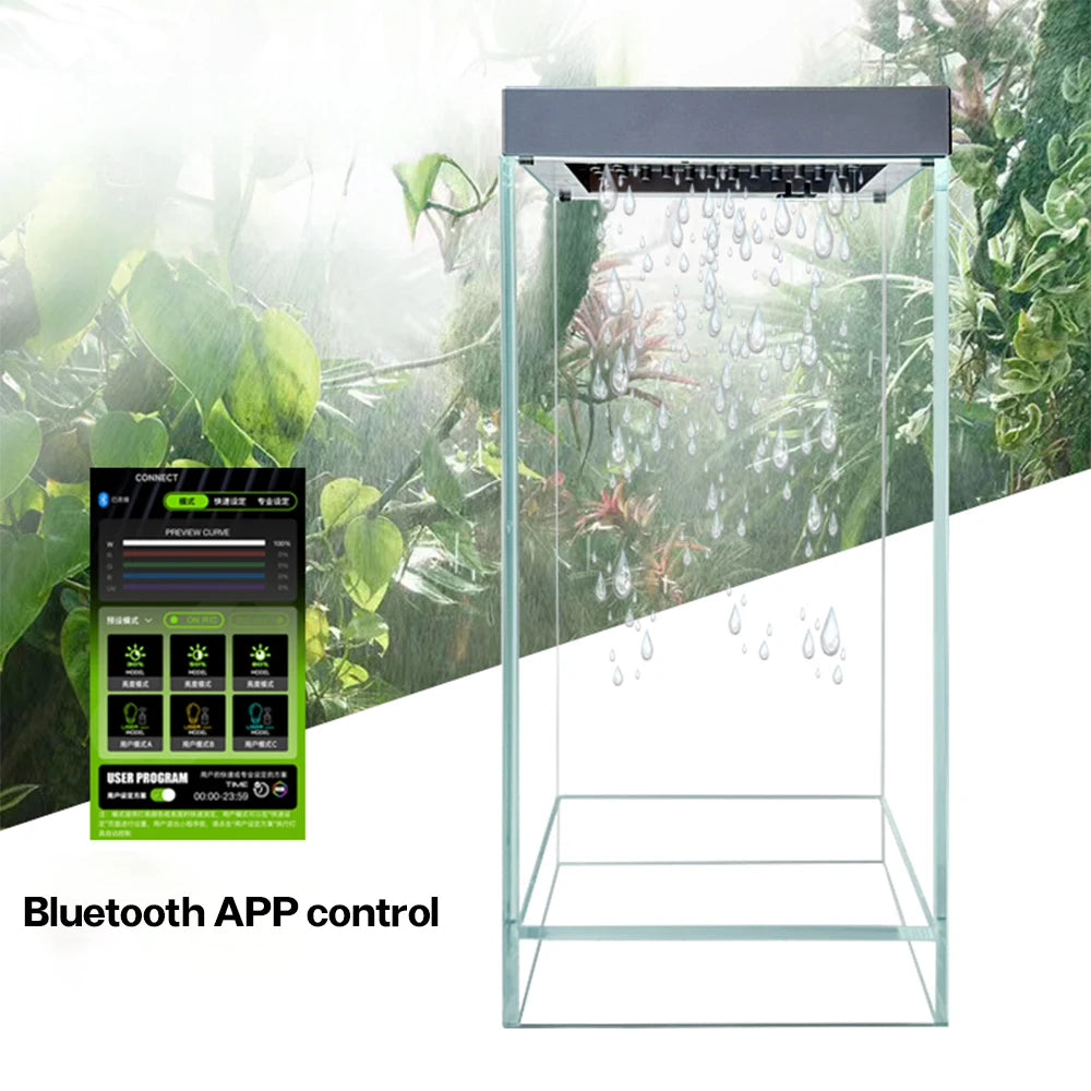 Rainforest Terrarium
