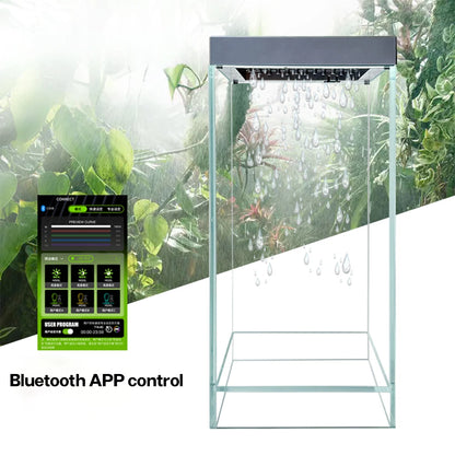 Rainforest Terrarium