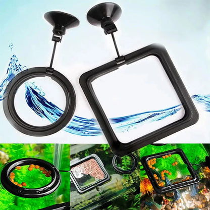 Aquarium Feeding Ring