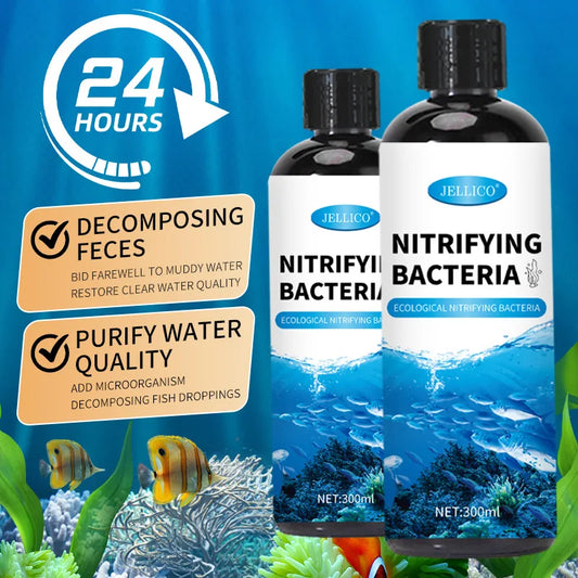 Nitrifying Bacteria  Purify Aquarium