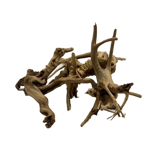 Natural Tree Trunk Driftwood