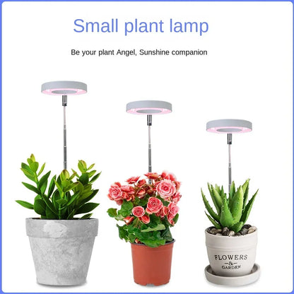 LED Indoor Angel Ring Plant Growing Light