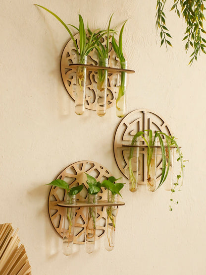 Wall Mounted Wooden Propagation Vase rack