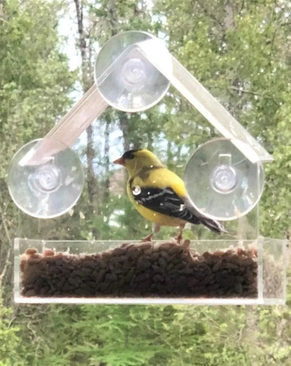 Outside Clear Hanging Bird Feeder