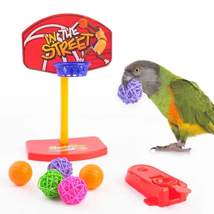 Bird Training Toy Supplies