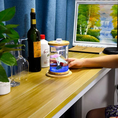 Mini Rotating Aquarium / Terrarium