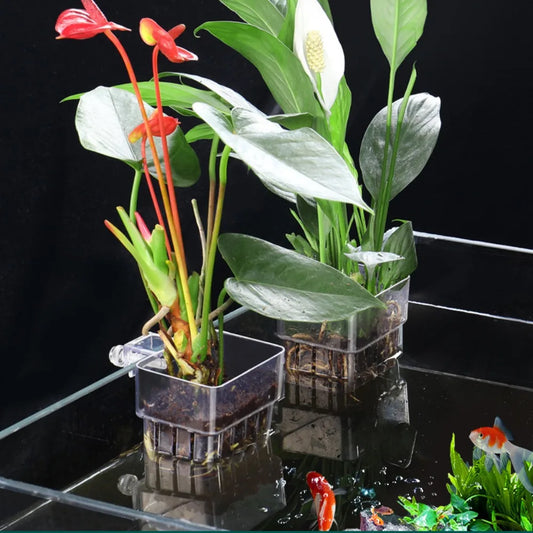 Hydroponic Planting Basket For Fish Tank