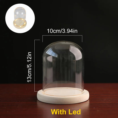 Terrarium Container With LED Light