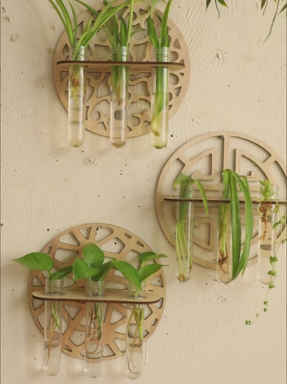 Wall Mounted Wooden Propagation Vase rack